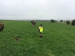 Sint-Martinus den XIIde - Kamp Bourseigne-Neuve WK